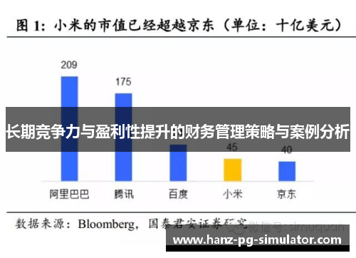 长期竞争力与盈利性提升的财务管理策略与案例分析 长期竞争力与盈利性提升的财务管理策略与案例分析