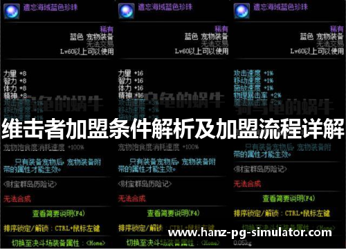 维击者加盟条件解析及加盟流程详解