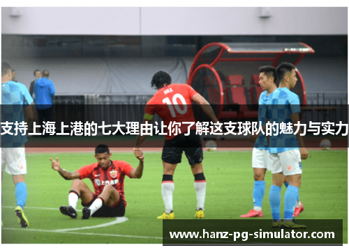 支持上海上港的七大理由让你了解这支球队的魅力与实力